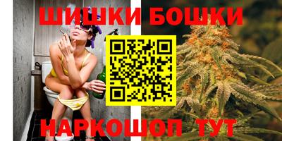 Альфа ПВП Обь
