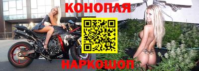Альфа ПВП Обь