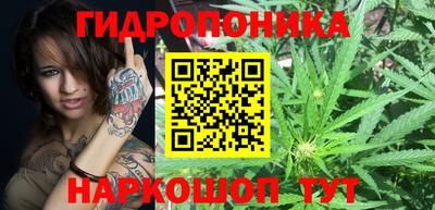 прущие крисы Нягань