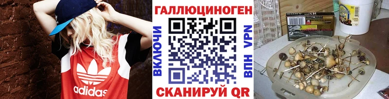 Галлюциногенные грибы мухоморы  купить наркотик  Тольятти 
