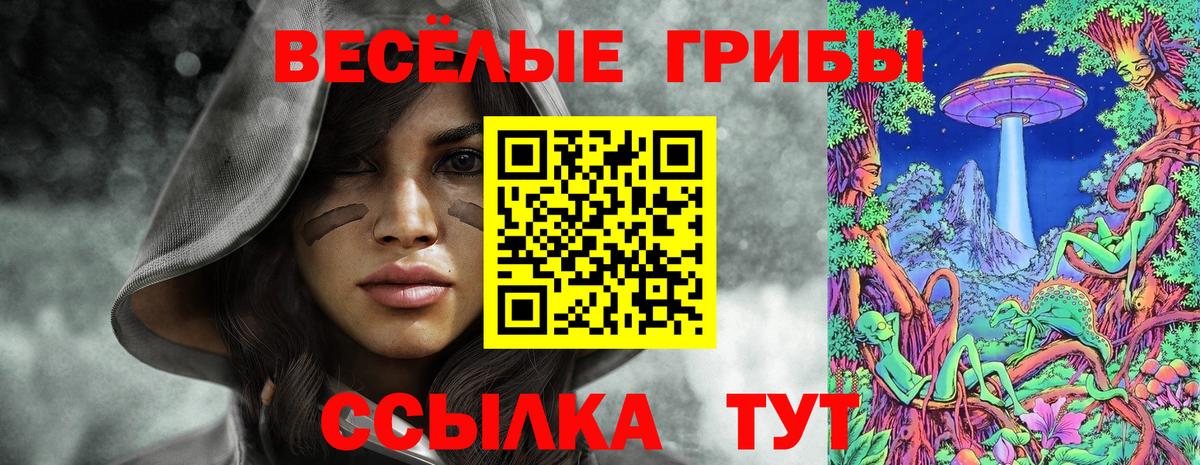 сколько стоит  Вход с VPN  Тольятти  Галлюциногенные грибы Cubensis 
